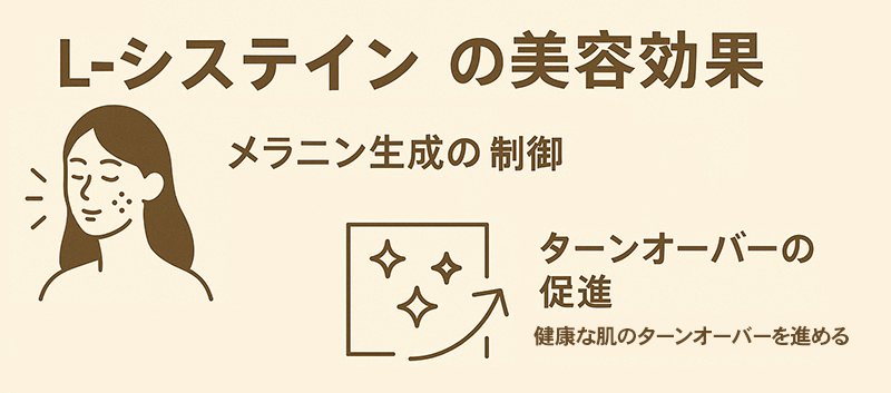 L-システインの美容効果